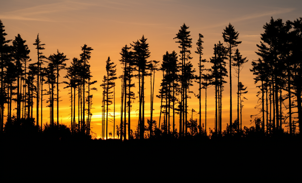 Warm sunset background